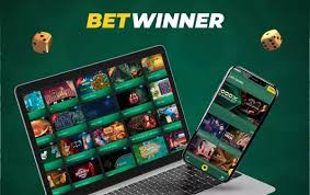 In-Depth BetWinner Player Reviews Insights and Experiences